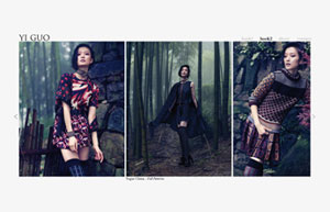 yi guo's portfolio website
